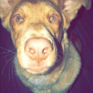 Meet your Posher, Haley